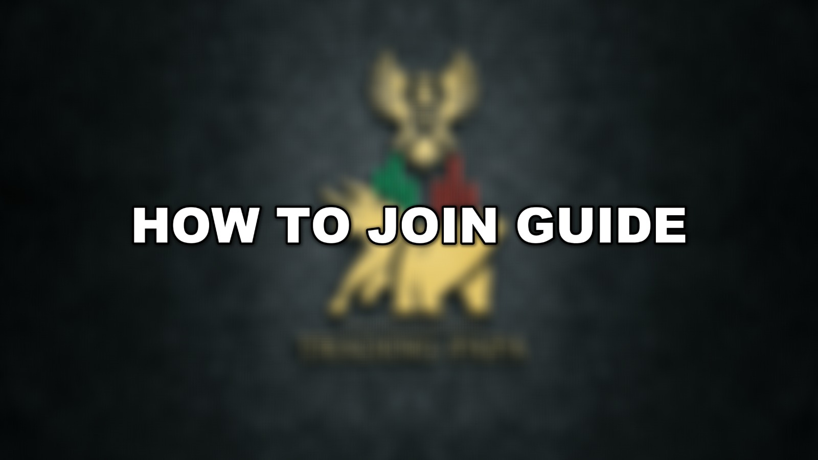 TRADING PAPA – ONBOARDING